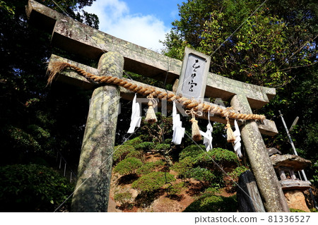 Torii 81336527
