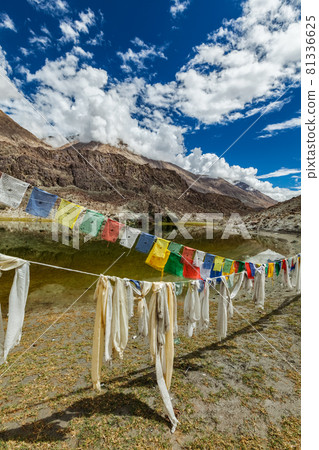 Lohan Tso mountain lake. Nubra valley, Ladakh, India Lohan Tso mountain lake. Nubra valley, Ladakh, India 81336625