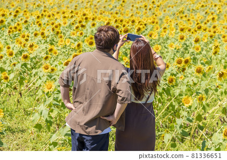 A couple taking a selfie in a sunflower field 81336651