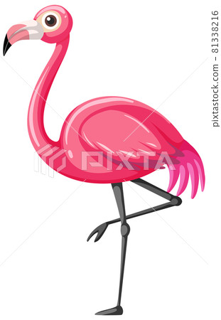 Flamingo in cartoon style isolated on white background 81338216