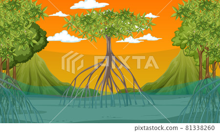 Nature scene with Mangrove forest at sunset time in cartoon style Nature scene with Mangrove forest at sunset time in cartoon style 81338260