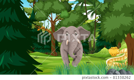 Forest at daytime scene with different wild animals Forest at daytime scene with different wild animals 81338262