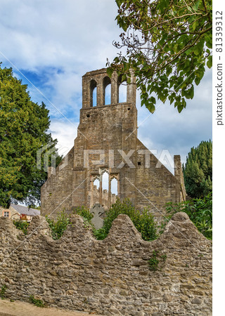 Church ruins at Malahide castle, Ireland 81339312