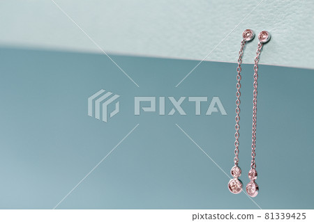 耳環 耳環 81339425