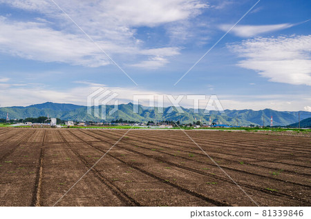Plateau vegetable field where corn is finished 81339846