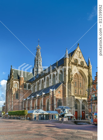 Church of Saint Bavo, Haarlem, Netherlands Church of Saint Bavo, Haarlem, Netherlands 81339992