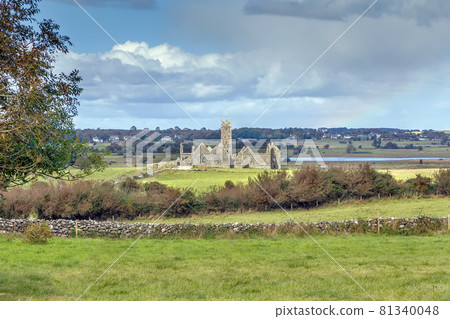 Ross Errilly Friary, Ireland 81340048