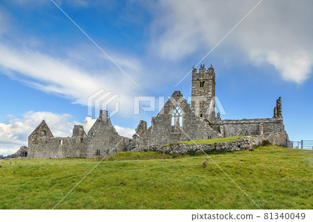 Ross Errilly Friary, Ireland 81340049