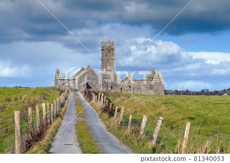 Ross Errilly Friary, Ireland 81340053