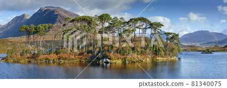 Landscape with lake in Galway county, Ireland 81340075