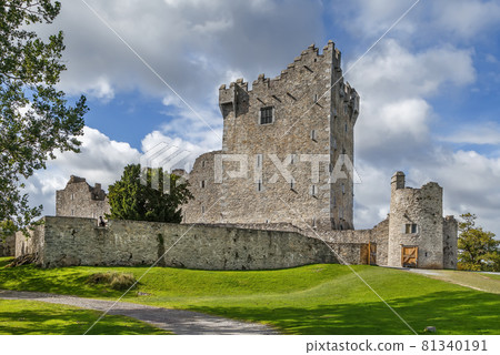 Ross Castle, Ireland 81340191