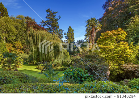 Powerscourt park, Ireland 81340284