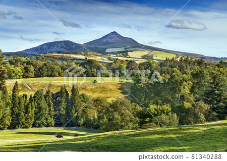 View of Old Long Hill, Ireland 81340288