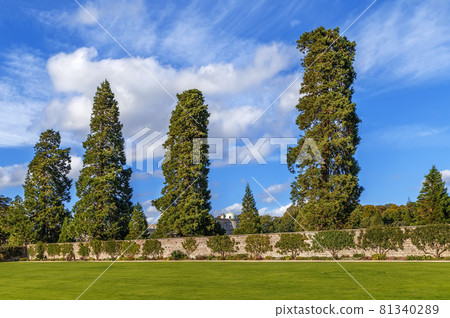 Powerscourt garden, Ireland 81340289