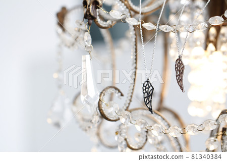 項鍊 項鍊 81340384