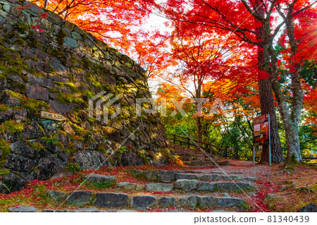 秋色中的郡上八幡城<岐阜縣郡上市> 秋色中的郡上八幡城<岐阜縣郡上市> 81340439