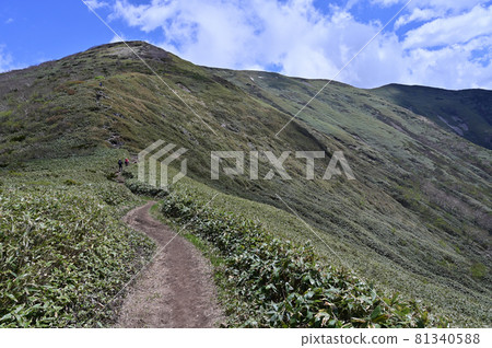 The ridgeline of Mt. Tairapyo in early summer The ridgeline of Mt. Tairapyo in early summer 81340588