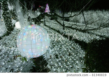 Gotemba Kogen Tokinosumika Illuminations Gotemba Kogen Tokinosumika Illuminations 81340819
