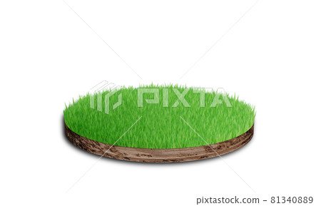 Soil round cross section with grass isolated on... - Stock Illustration ...