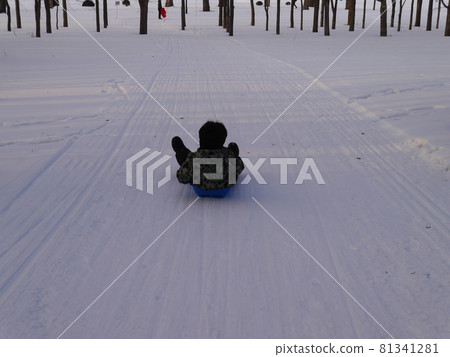 Children playing sledding in a winter park (back view) 81341281