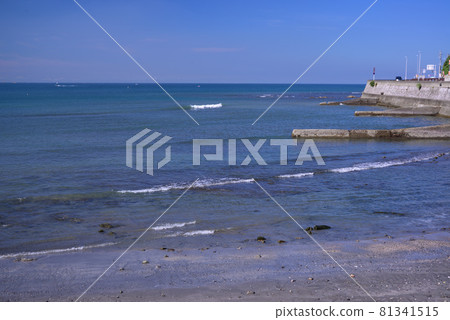 湘南/逗子海灘的早晨 湘南/逗子海灘的早晨 81341515