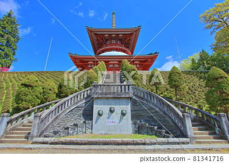 Naritasan Shinshoji Temple of Peace 81341716