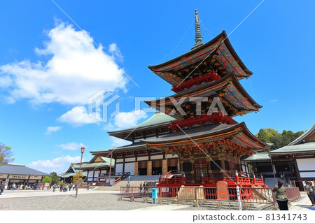Naritasan Shinshoji Temple Mie Tower and Daihonro 81341743