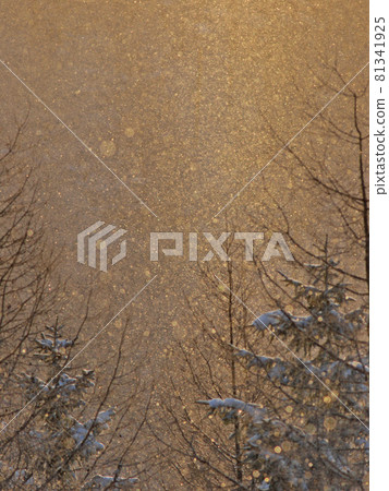 Diamond dust Kirigamine plateau, Nagano prefecture Diamond dust Kirigamine plateau, Nagano prefecture 81341925