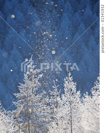 Diamond dust Kirigamine plateau, Nagano prefecture 81341932