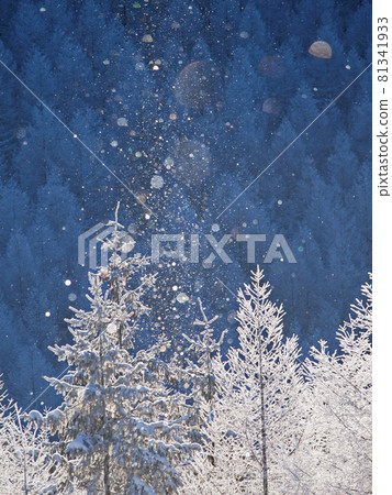 Diamond dust Kirigamine plateau, Nagano prefecture 81341933