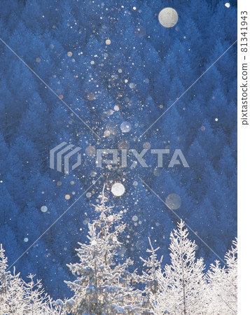 Diamond dust Kirigamine plateau, Nagano prefecture 81341943