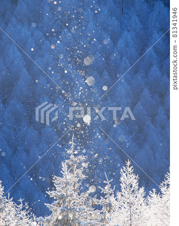 Diamond dust Kirigamine plateau, Nagano prefecture 81341946