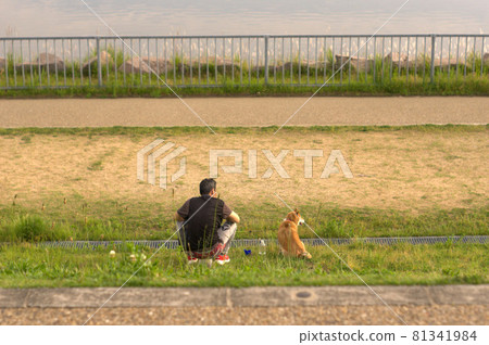 在暮光之城 在暮光之城 81341984