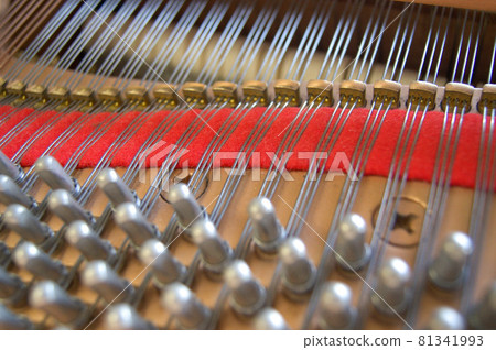 鋼琴弦 81341993
