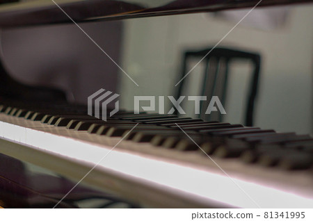 鍵盤 81341995