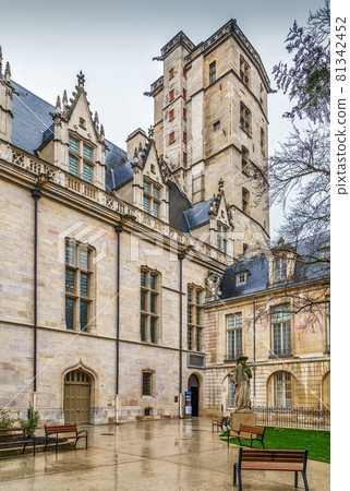 Palace of the Dukes of Burgundy, Dijon, France Palace of the Dukes of Burgundy, Dijon, France 81342452