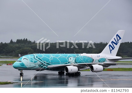 Flying Honu Flying Honu 81342793