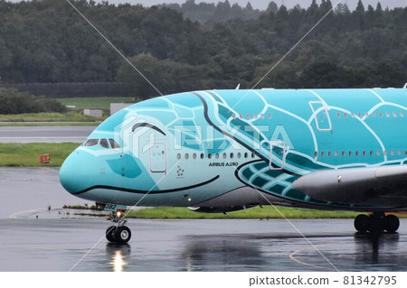 Flying Honu Flying Honu 81342795