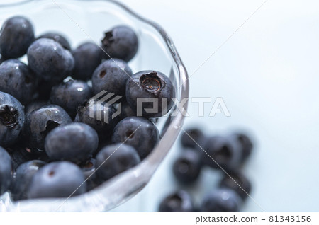 藍莓 81343156