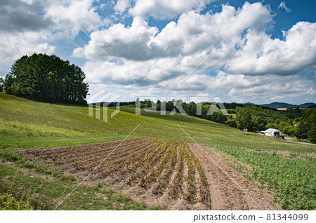夏季雲淡風輕的七山 81344099