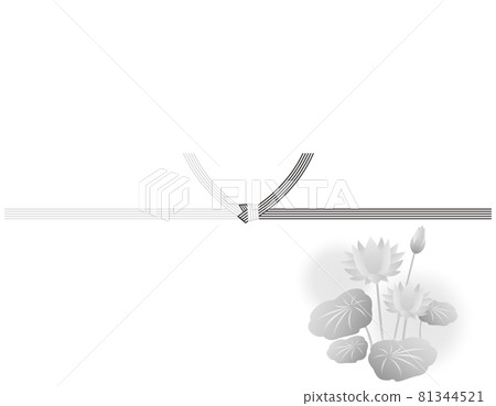Mizuhiki vector illustration 81344521