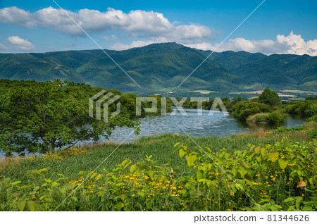 八月北海道Suttsu的Shubuto河風景 八月北海道Suttsu的Shubuto河風景 81344626