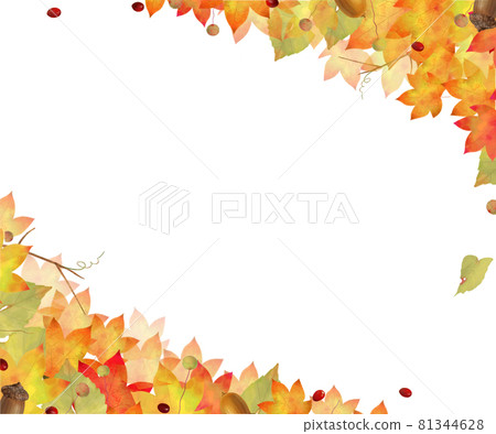 Autumn fashionable white background vector frame such as maple, maple and acorn Autumn fashionable white background vector frame such as maple, maple and acorn 81344628