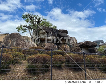 Serpento tomb Serpento tomb 81344835