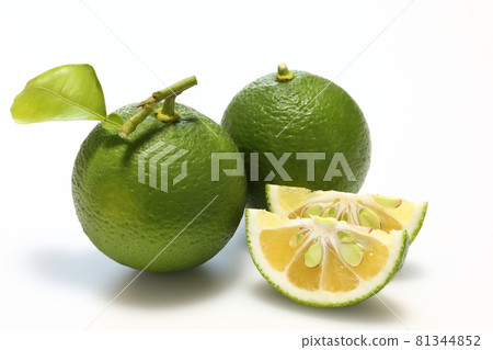 To dodge To dodge 81344852