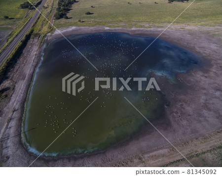 Pampas lagoon, aerial view 81345092