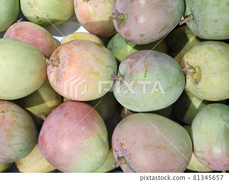 Bunch Of asian freshness organic sweet rare Mangoes on department store shelf, advertising backgrounds Bunch Of asian freshness organic sweet rare Mangoes on department store shelf, advertising backgrounds 81345657
