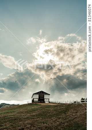 Shibetsu City Sheep and Cloud Hill 81346074