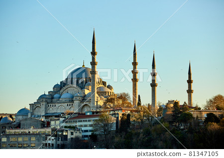 The Suleymaniye Mosque is an Ottoman imperial mosque in Istanbul, Turkey. It is the largest mosque in the city. 81347105