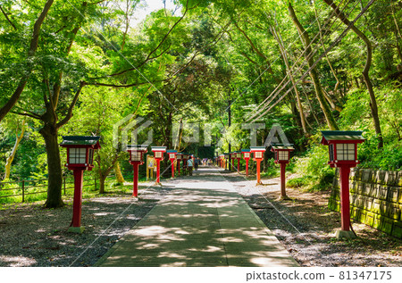 Takao Mountain Trail 81347175
